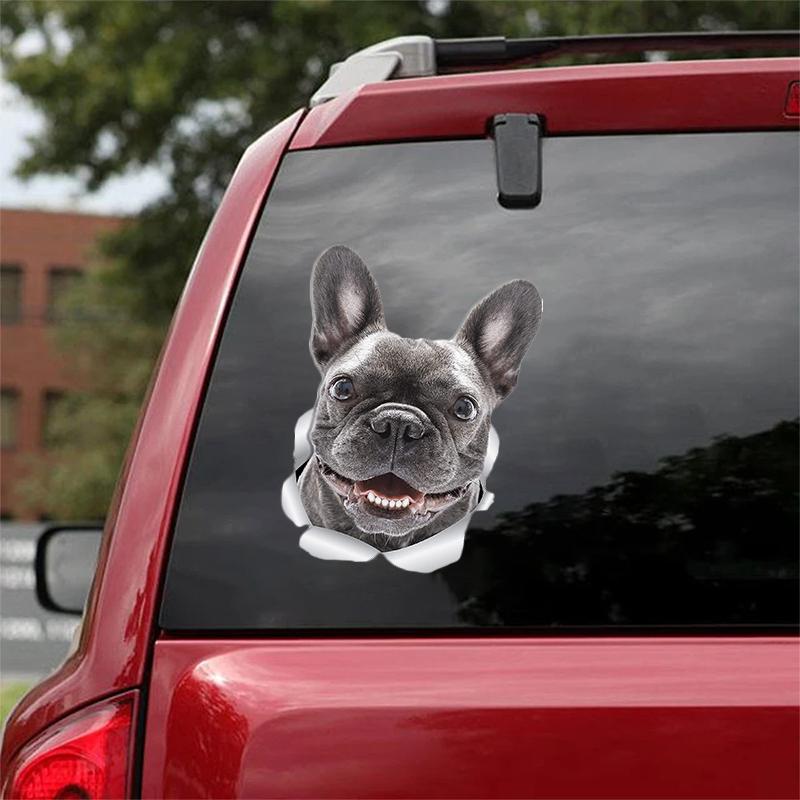 Cute French Bulldog (1) CRACK CAR STICKER