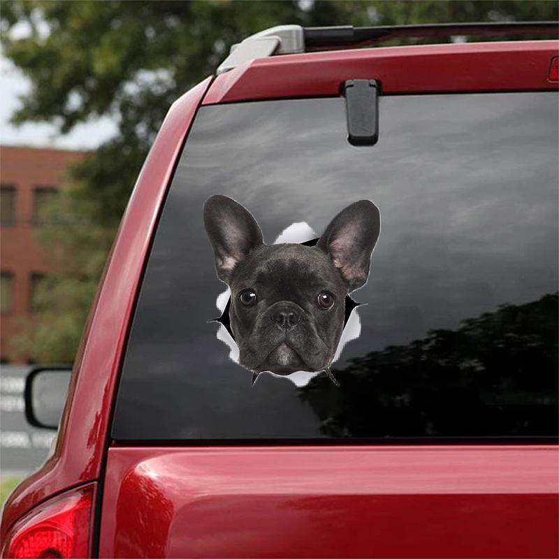 Cute French Bulldog 5 CRACK CAR STICKER