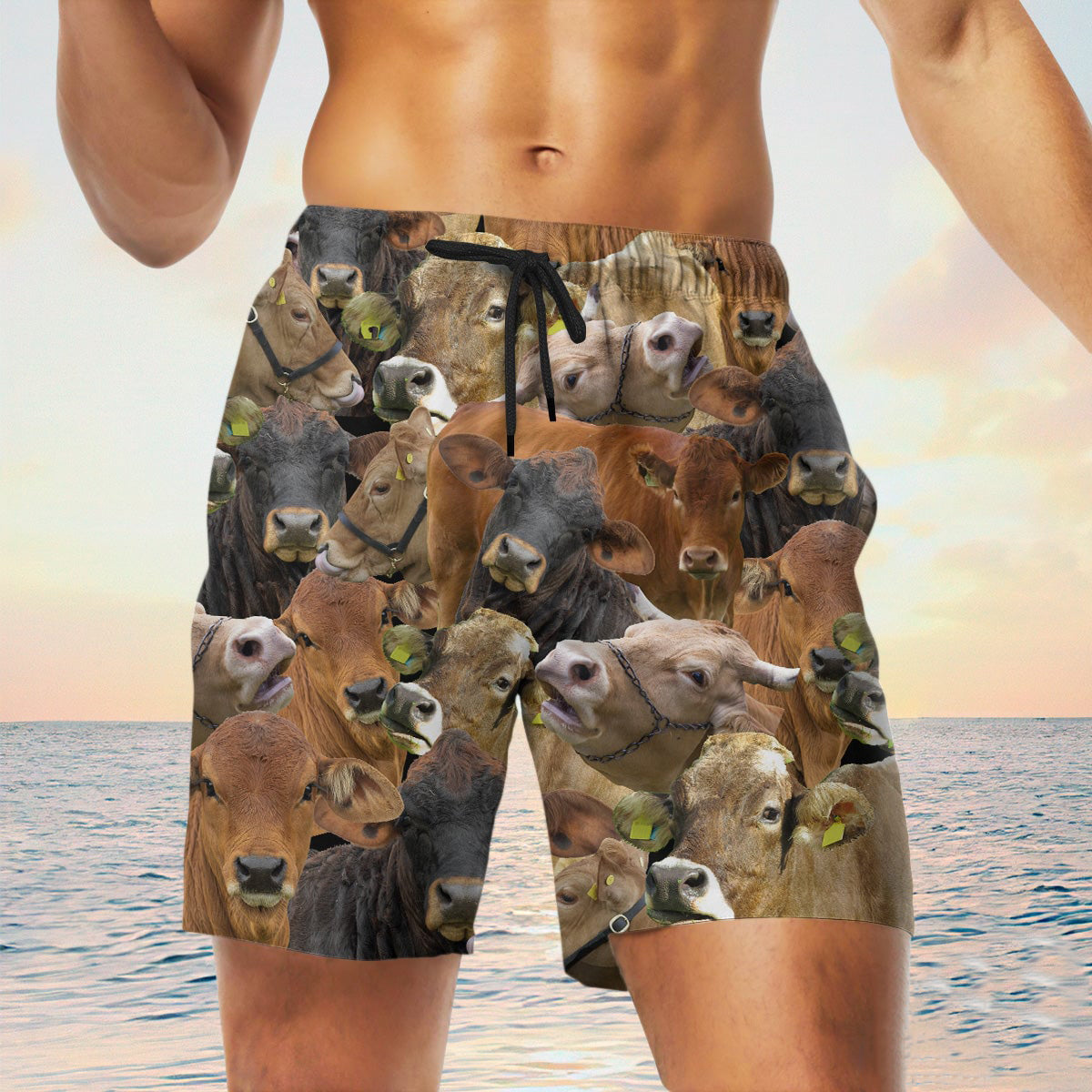 Gelbvieh Herd Shorts