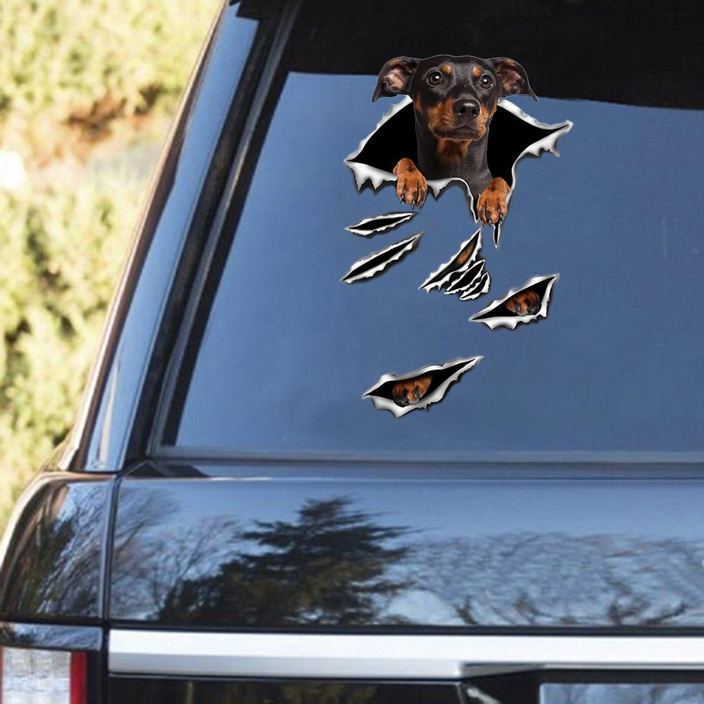 German Pinscher Scratch Decal