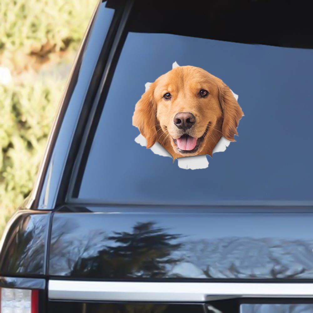 Golden Retriever 2 Out Of The Window Decal