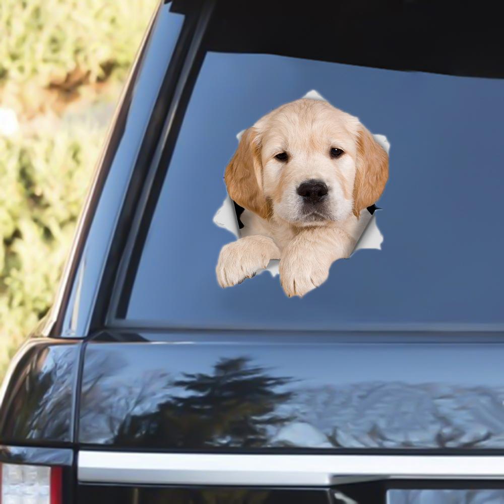 Golden Retriever 3 Out Of The Window Decal