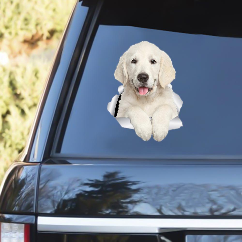 Golden Retriever Out Of The Window Decal