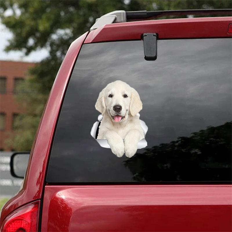 Cute Golden Retriever 3 CRACK CAR STICKER