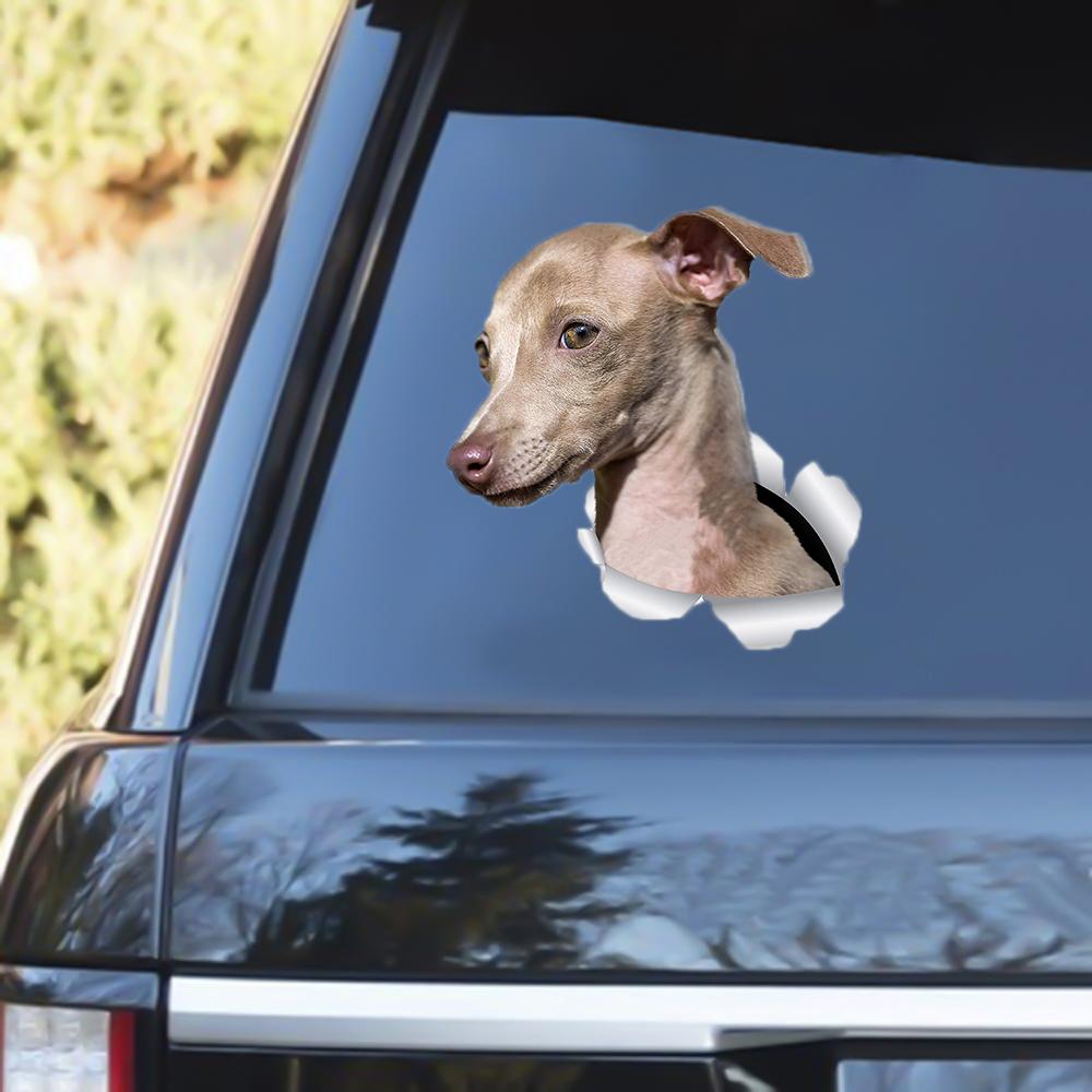 Greyhound 2 Out Of The Window Decal