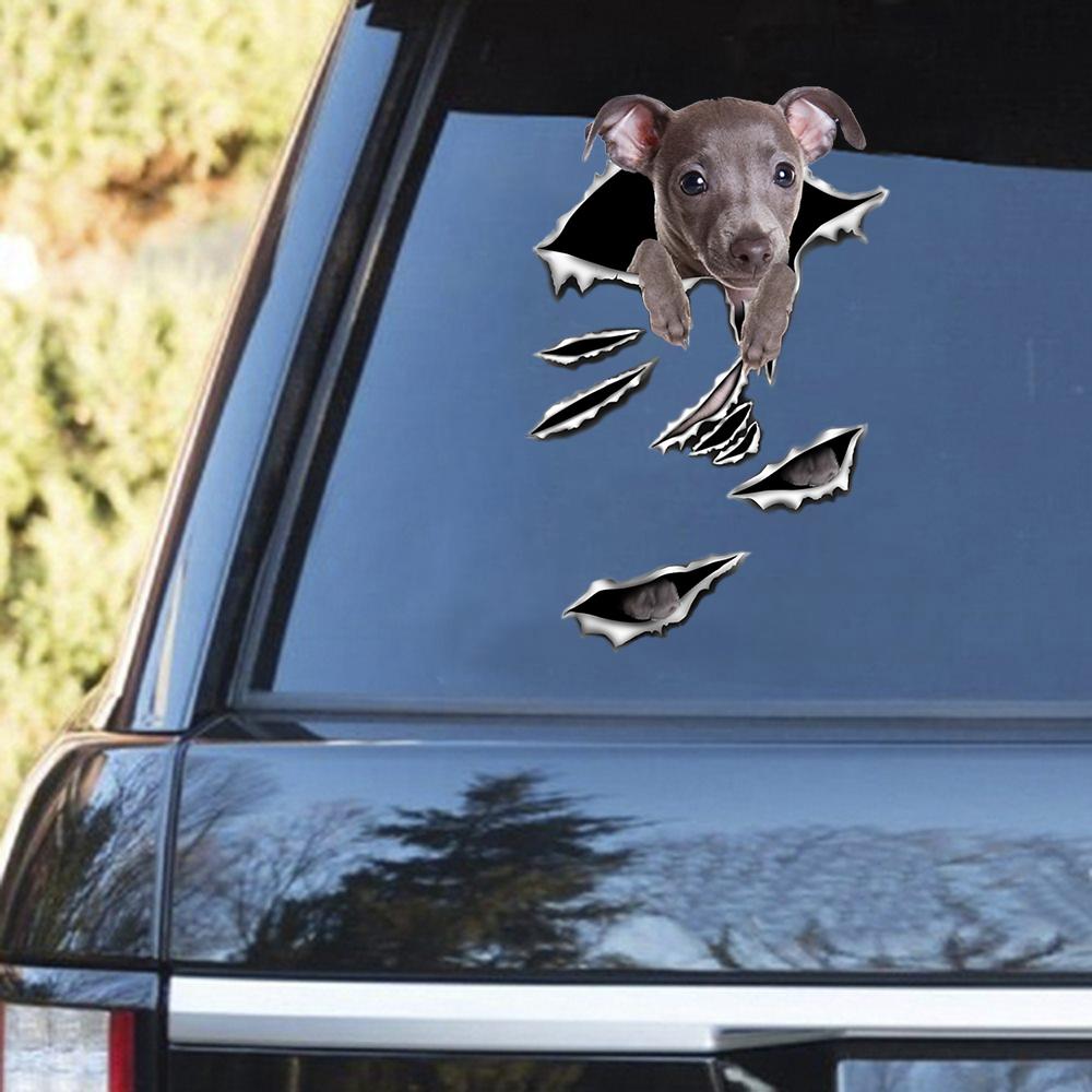 Greyhound Scratch Decal