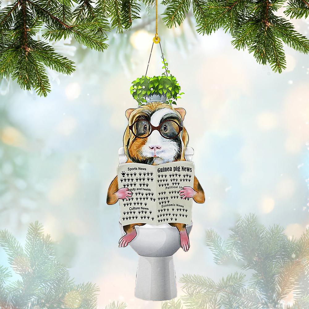 Guinea Pig Sitting On A Toilet-Two Sides Ornament