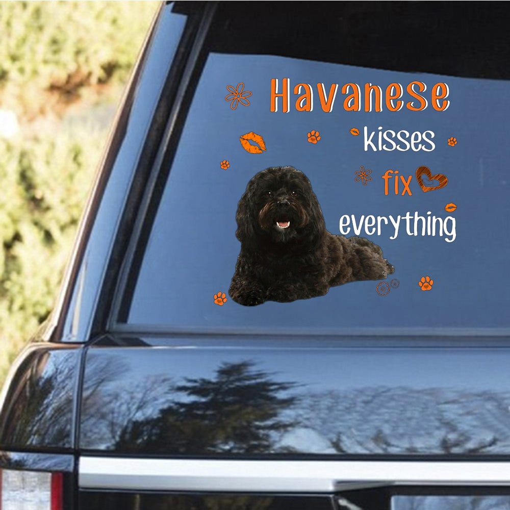 Havanese-Kiss Fix Everything Decal