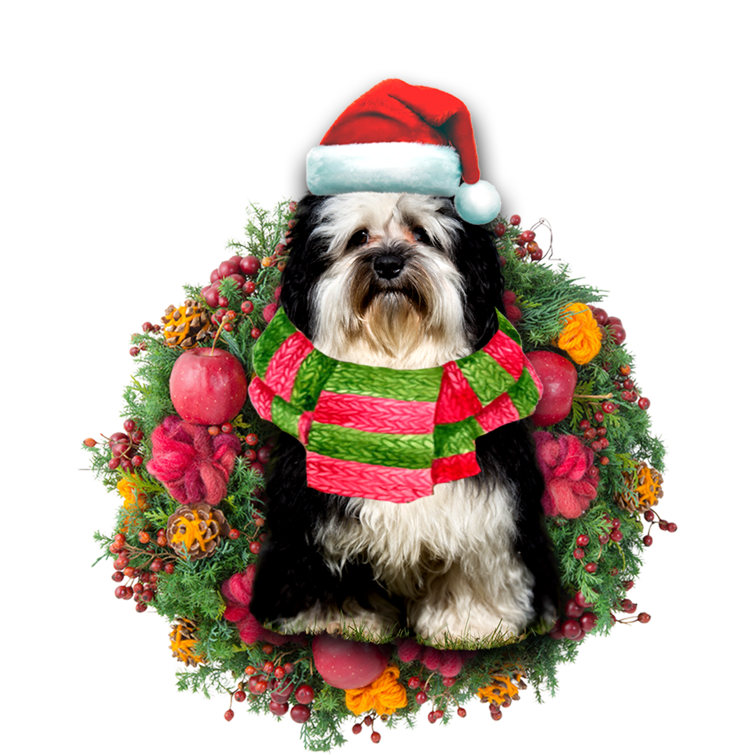 Havanese Christmas Ornament