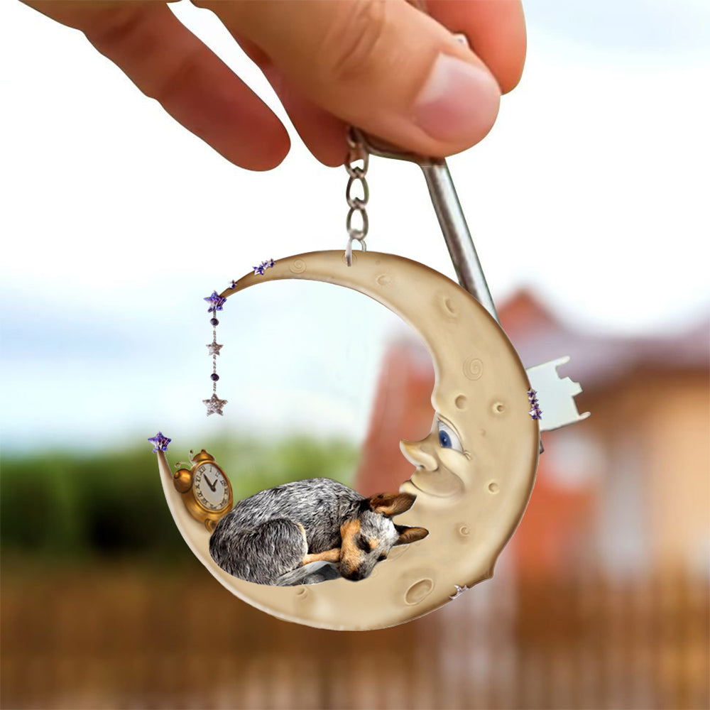 Heeler-Sleeping on the moon Keychain