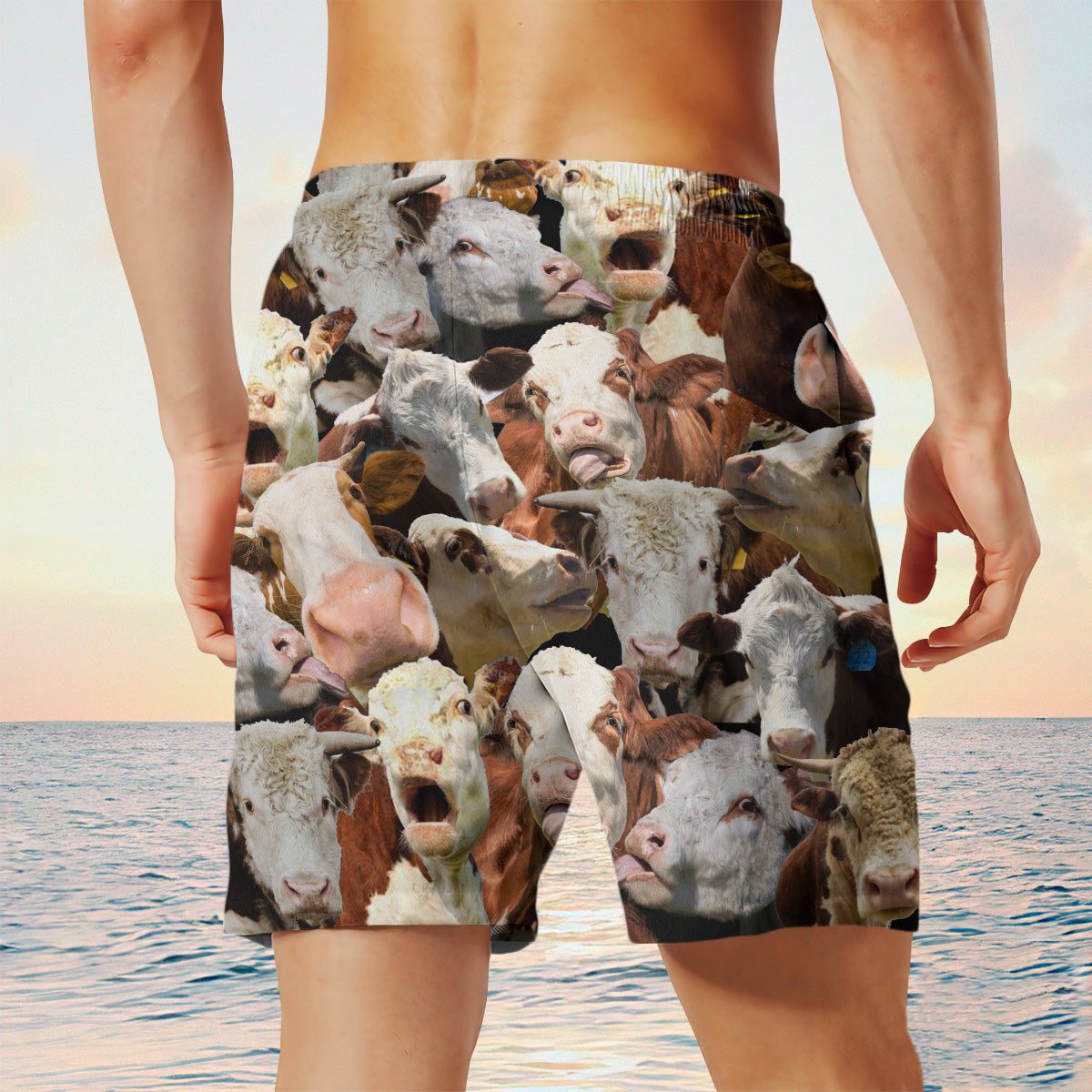 Hereford Herd Shorts