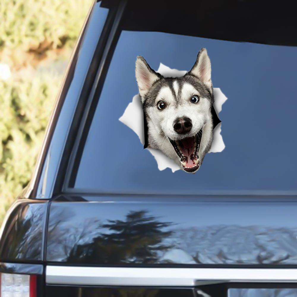 Husky Out Of The Window Decal