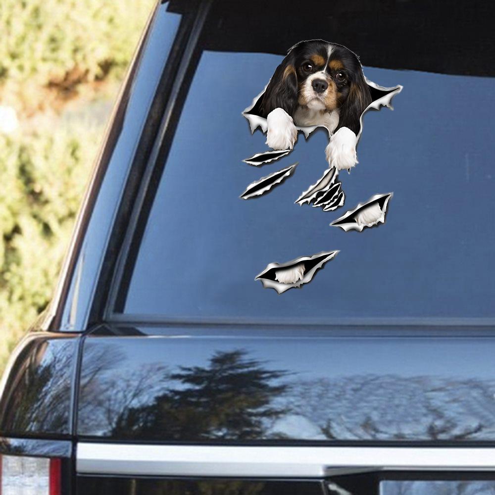 King Charles Spaniel 2 Scratch Decal