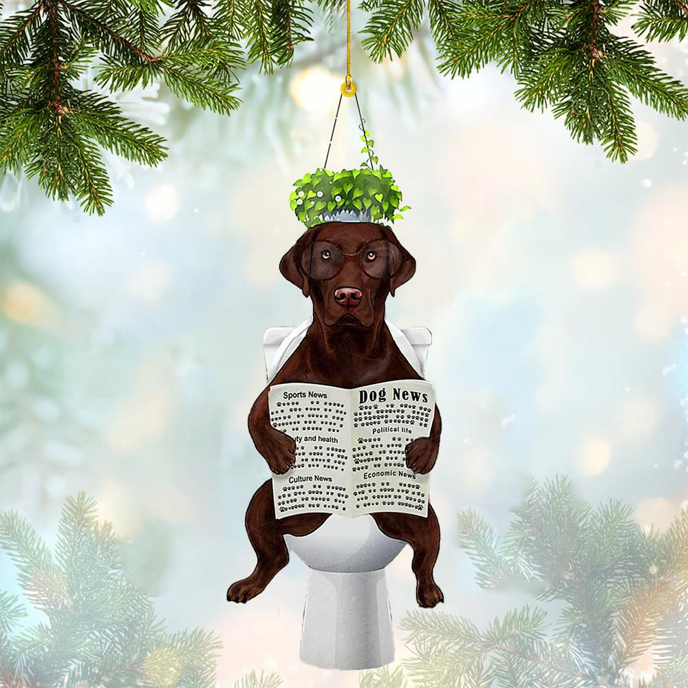 Labrador Sitting On A Toilet-Two Sides Ornament