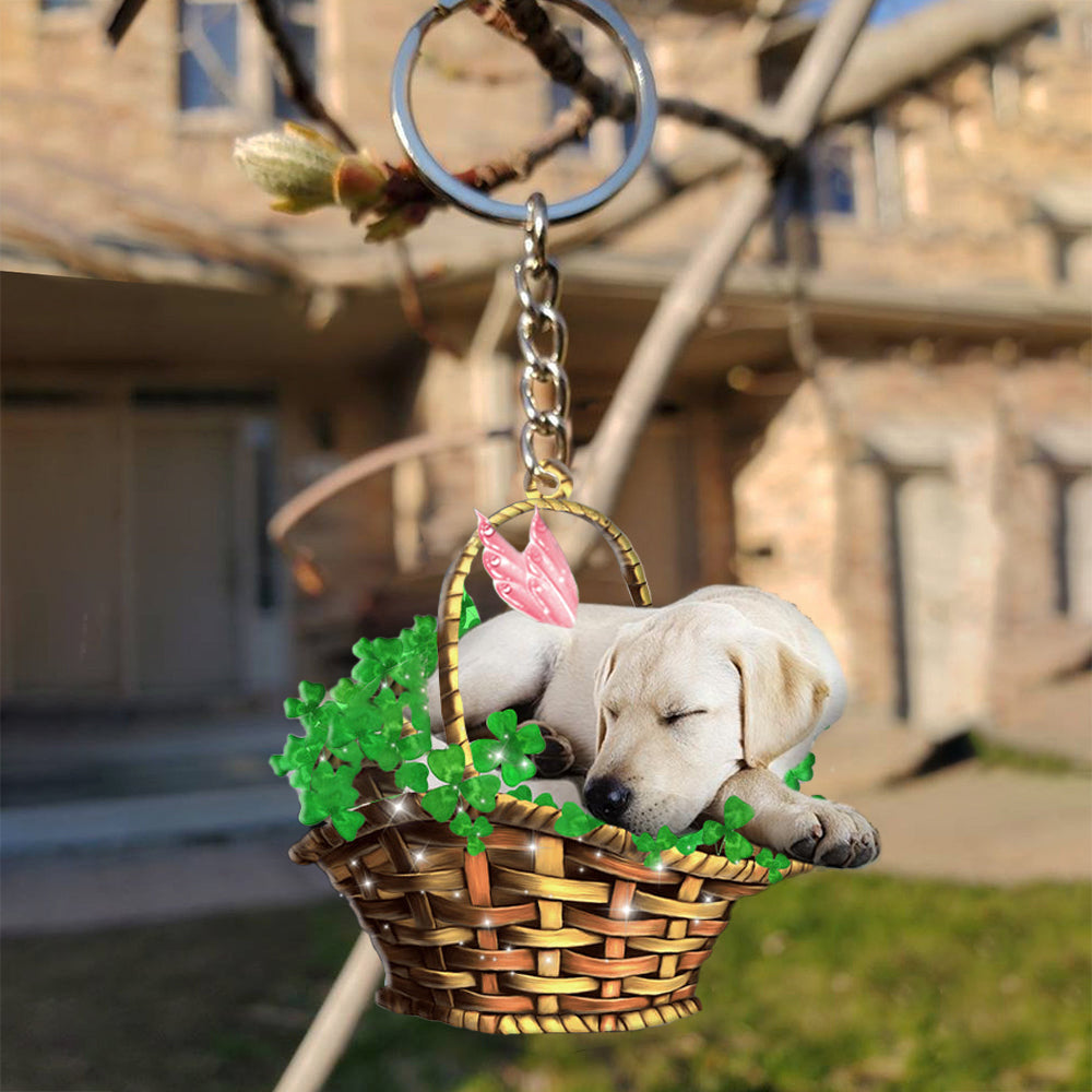 Labrador retriever-Sleeping Lucky Fairy Flat Acrylic Keychain