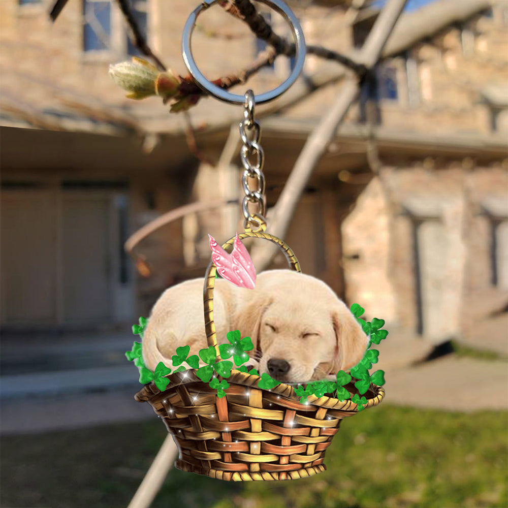 Labrador retriever (2)-Sleeping Lucky Fairy Flat Acrylic Keychain