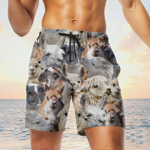 Llama Herd Shorts