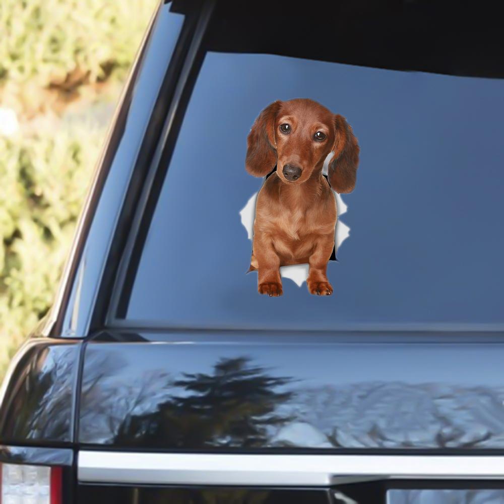 Long Haired Dachshund Out Of The Window Decal