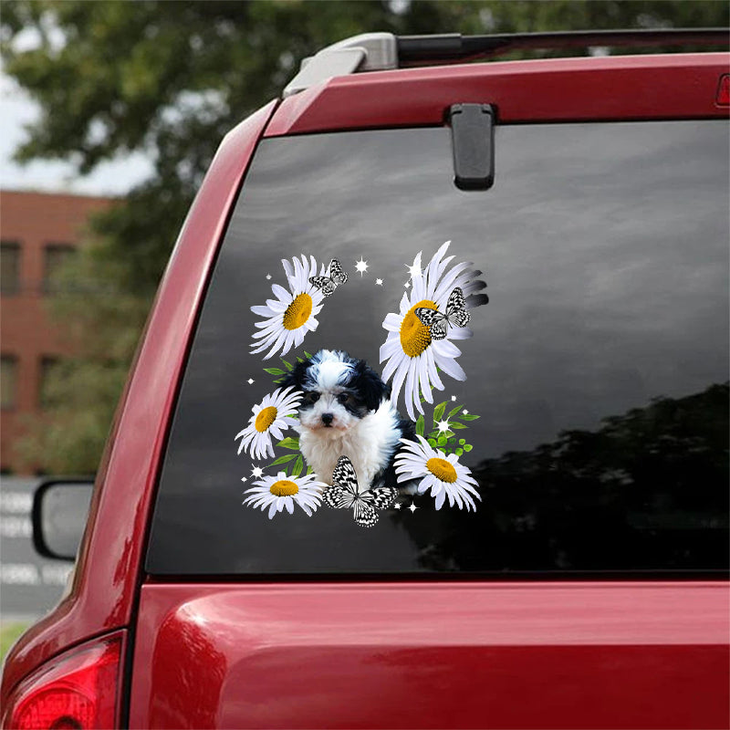 Mal-Shi-Daisy flower CAR STICKER