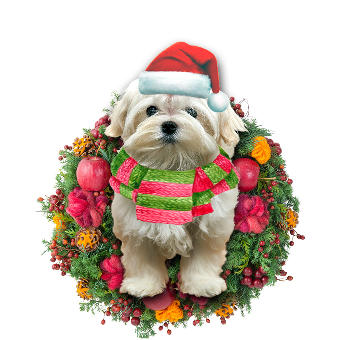 Maltese Christmas Ornament