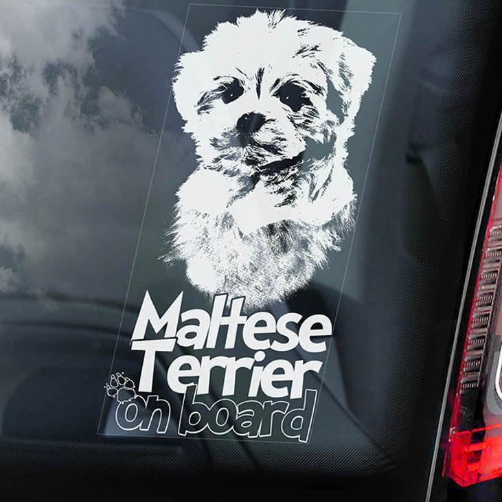 Maltese1 on Board-Car Window Sticker-Dog Sign Decal