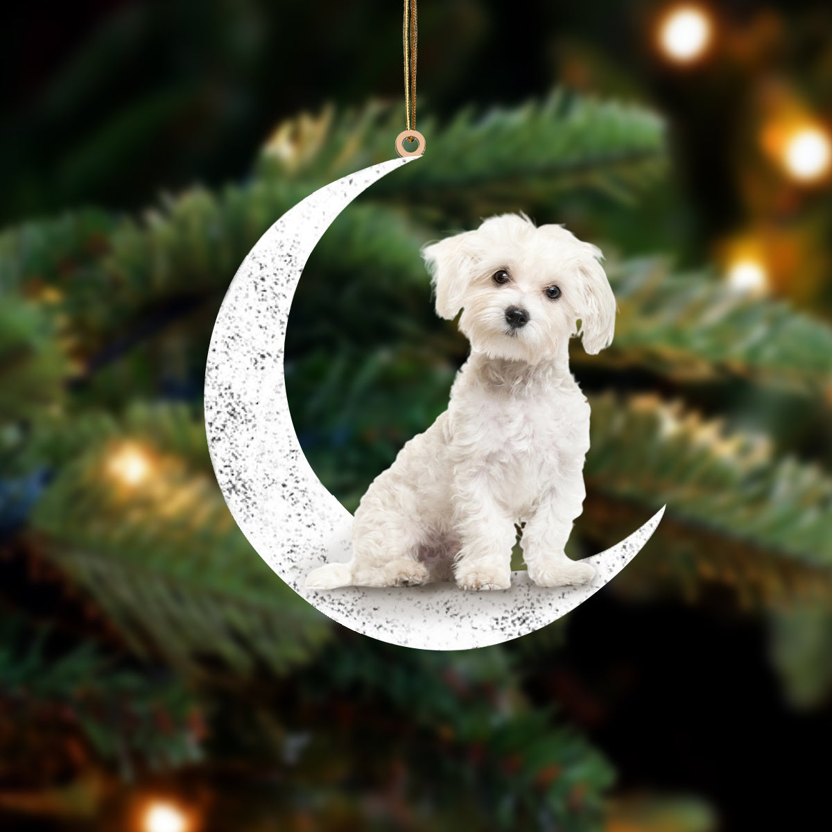 Maltese 2-Sit On The Moon-Two Sided Ornament