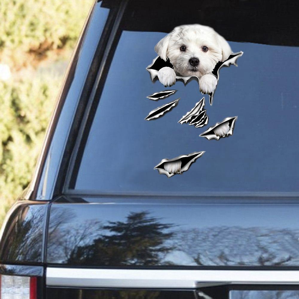 Maltese Scratch Decal