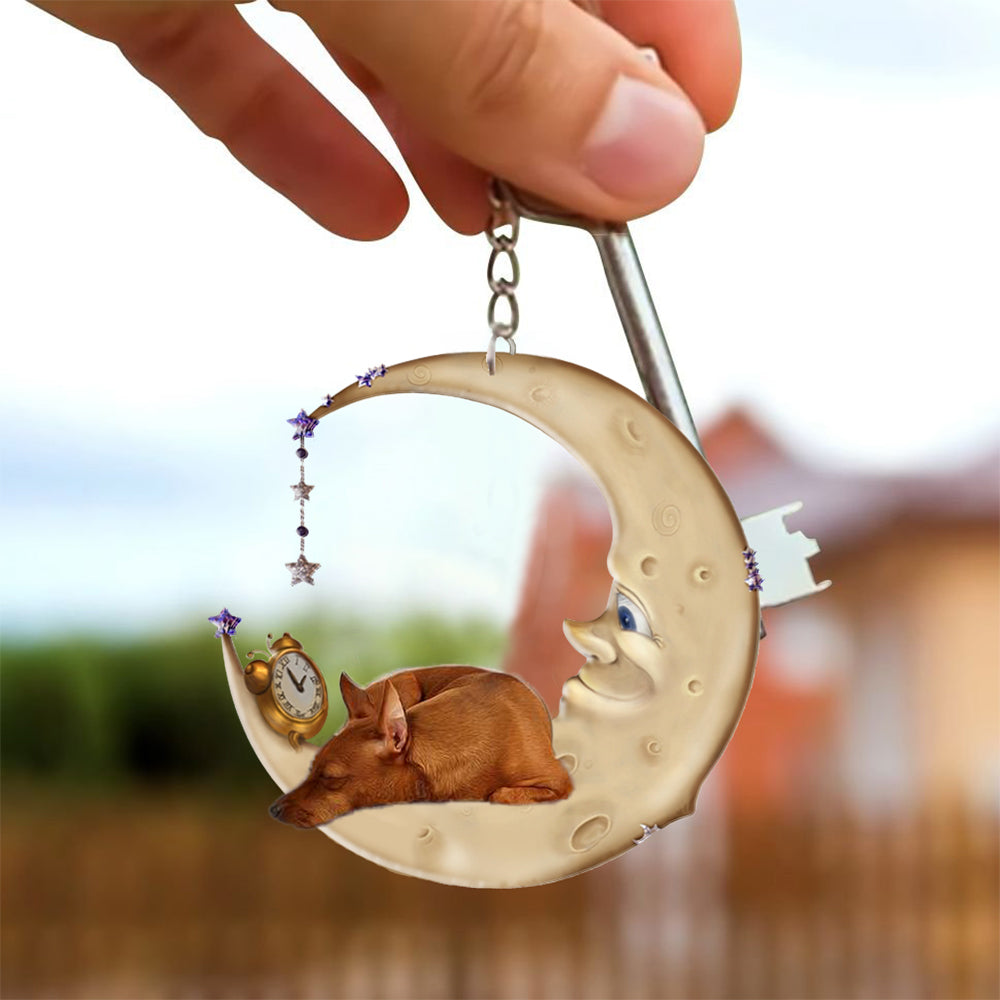 Miniature Pinscher-Sleeping on the moon Keychain