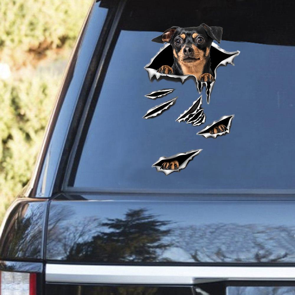 Miniature Pinscher Scratch Decal