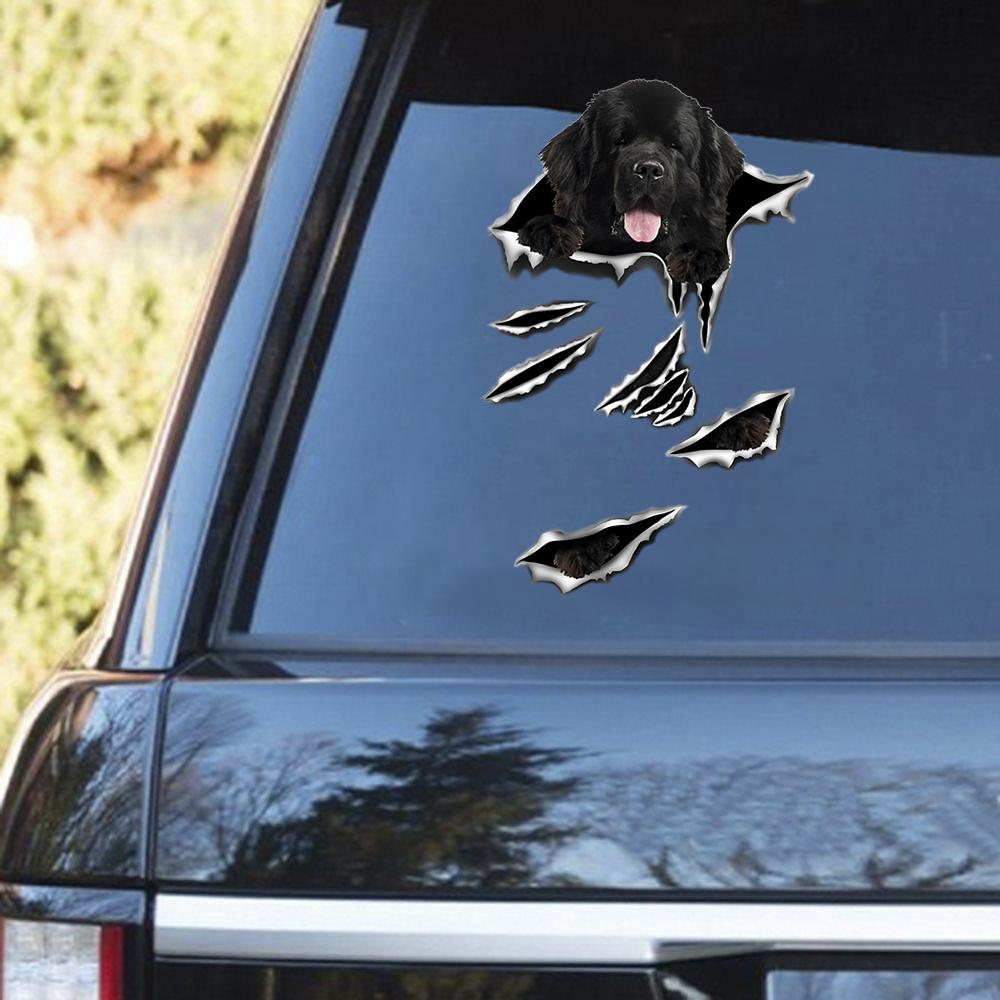 Newfoundlan Scratch Decal