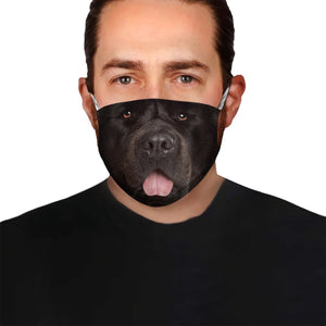 Newfoundland Face EZ06 1504 Face Mask