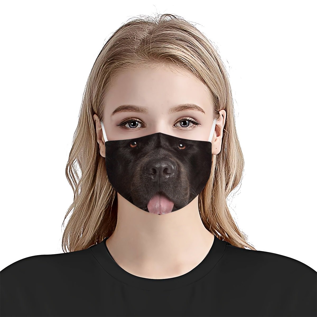 Newfoundland Face EZ06 1504 Face Mask