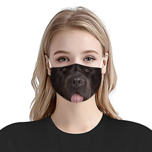 Newfoundland Face EZ06 1504 Face Mask