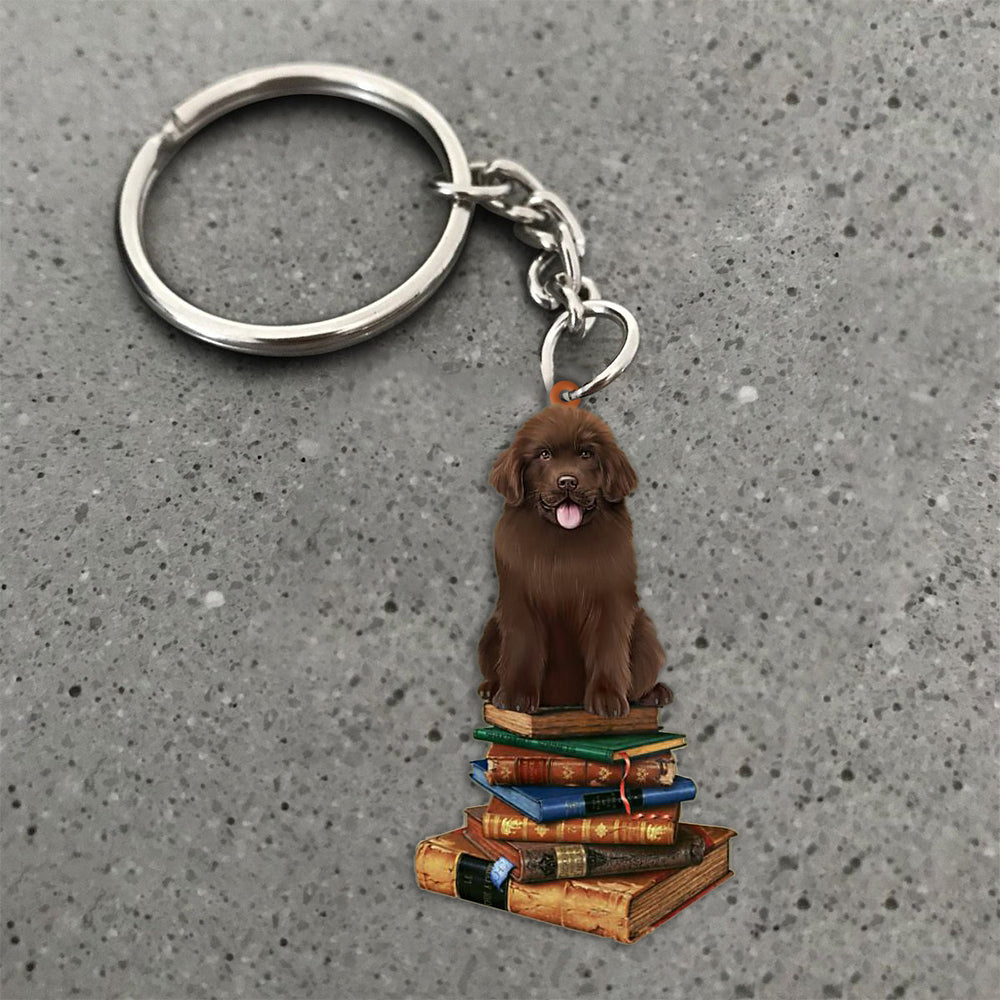 Newfoundland-Sit On The Book-Flat Acrylic Keychain