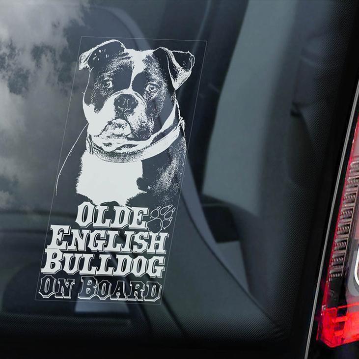Olde English Bulldog on Board-Car Window Sticker-Dog Sign Decal