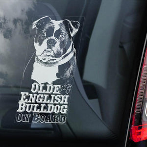 Olde English Bulldog on Board-Car Window Sticker-Dog Sign Decal