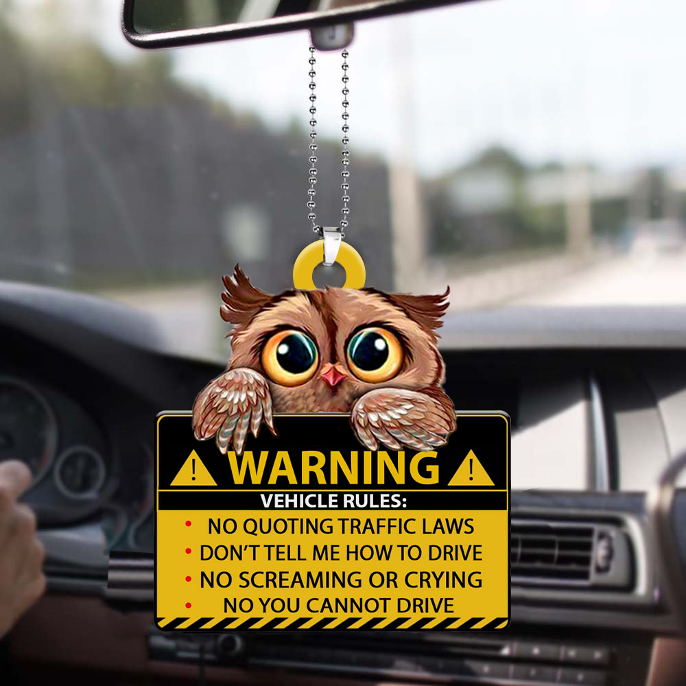 Owl-Vehicle Rules Two Side Ornament