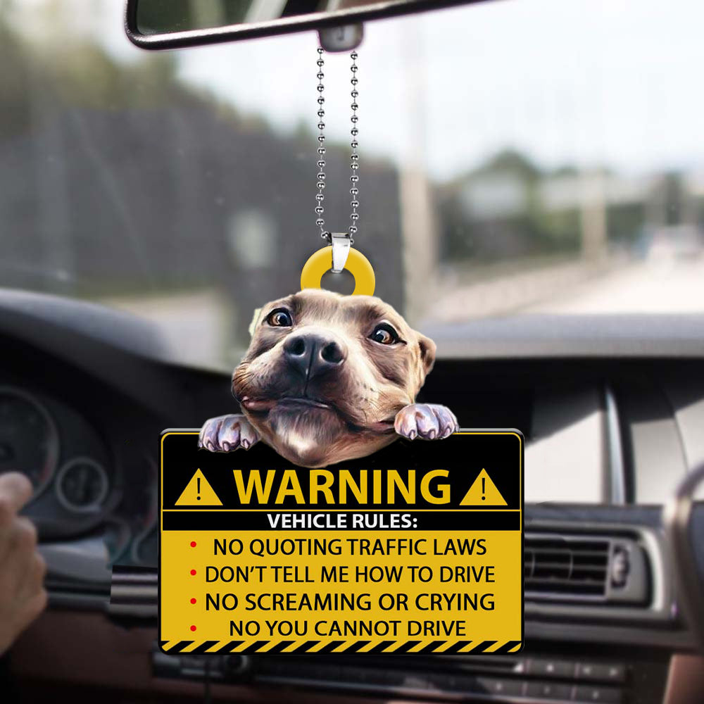 Pitbull-Vehicle Rules Two Side Ornament