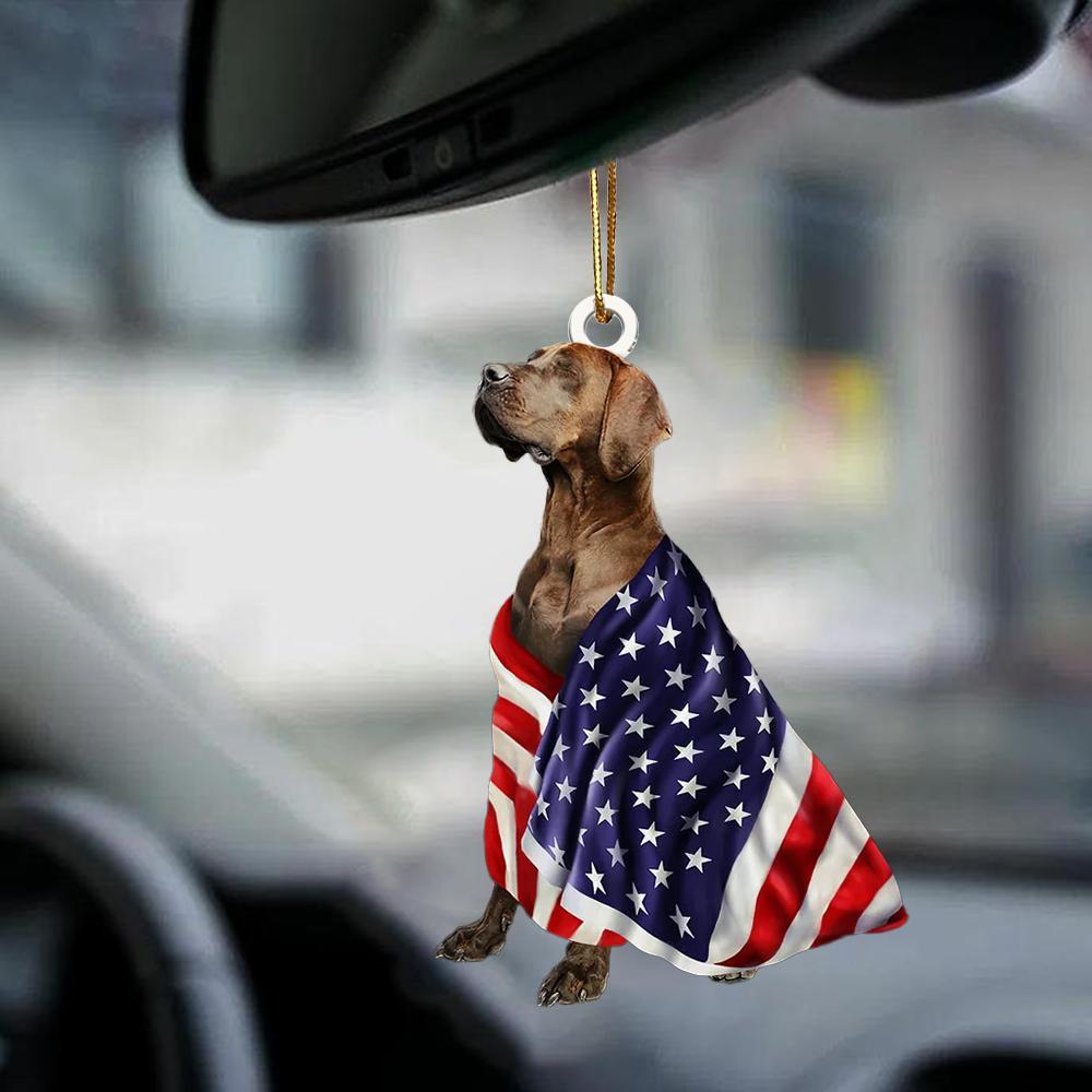 Patriotic Great Dane With Mount Rushmore Flag Two Sided Ornament