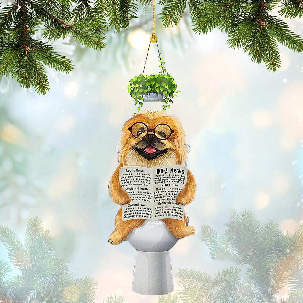 Pekingese Sitting On A Toilet-Two Sides Ornament