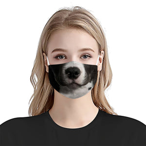 Pit Bull Face  EZ03 1504 Face Mask
