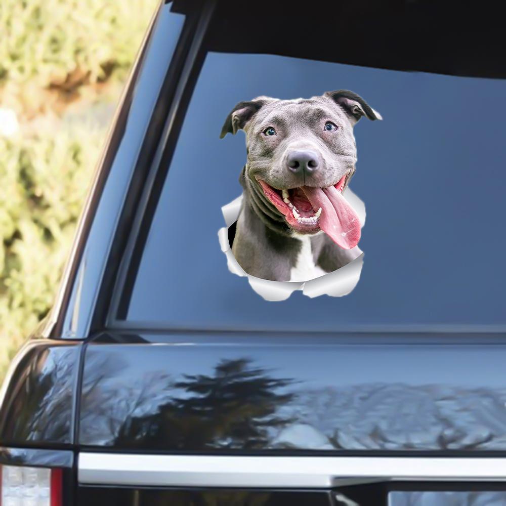 Pit Bull Out Of The Window Decal