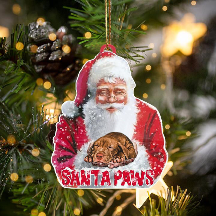 Pitbull-Santa Paws-Two Sided Ornament