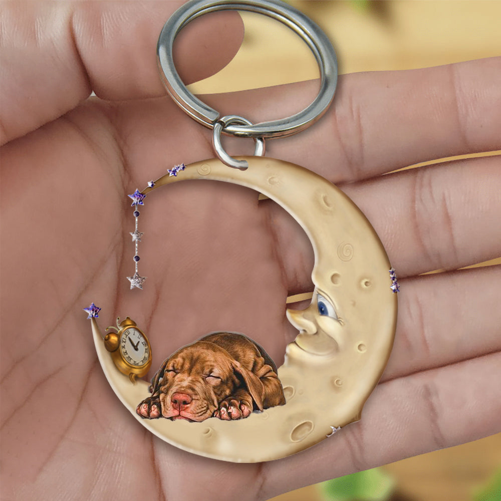 Pitbull-Sleeping on the moon Keychain