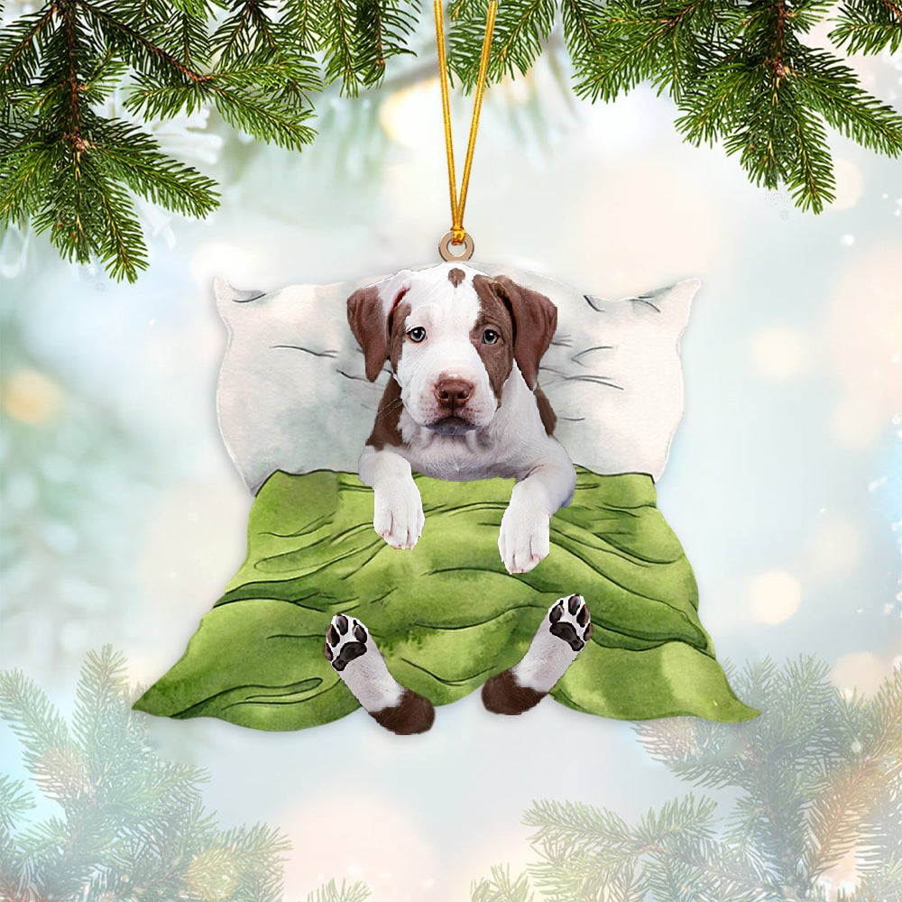 Pitbull2-Sleep time Two Sides Ornament