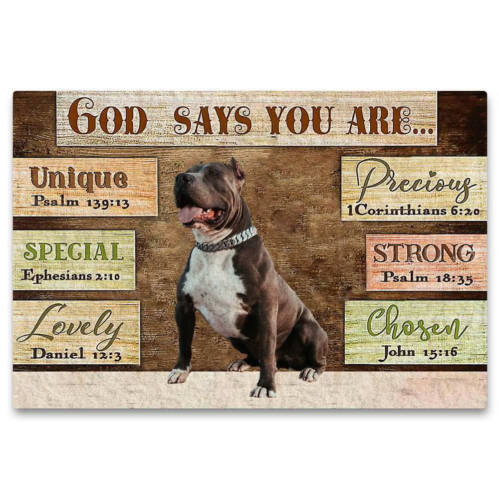 Pitbull God Says You Are Doormat