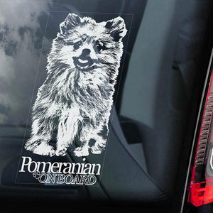 Pomeranian1 on Board-Car Window Sticker-Dog Sign Decal