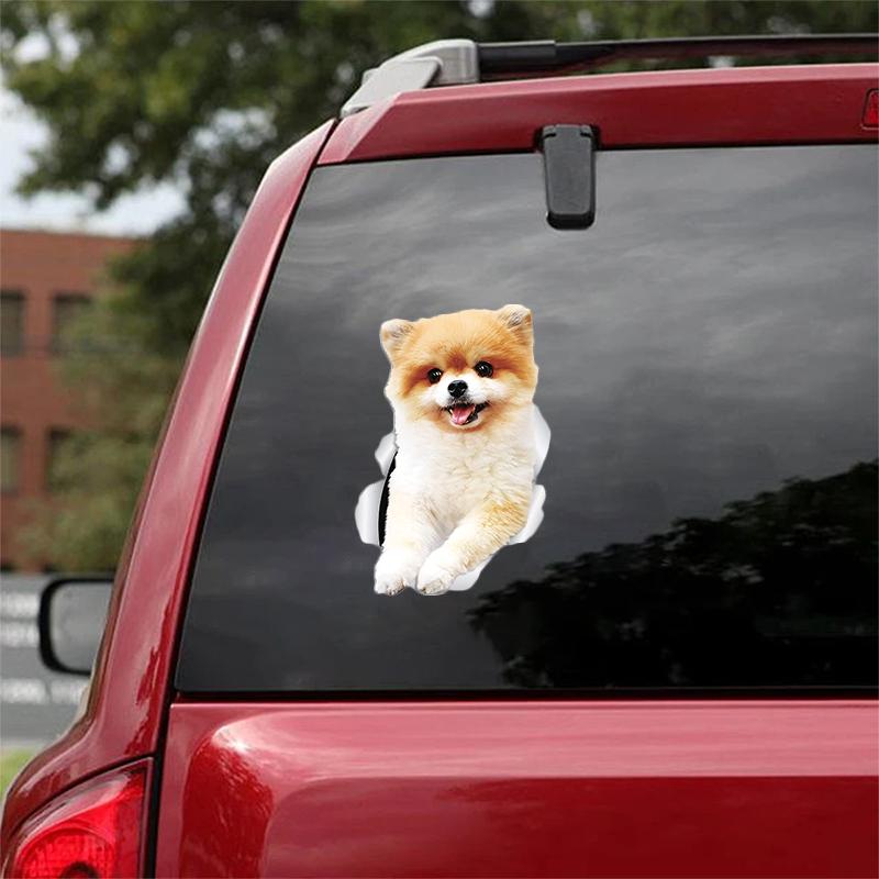 Cute Pomeranian 2 CRACK CAR STICKER