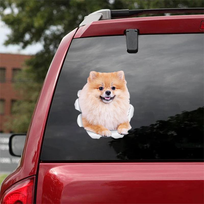 Cute Pomeranian 3 CRACK CAR STICKER