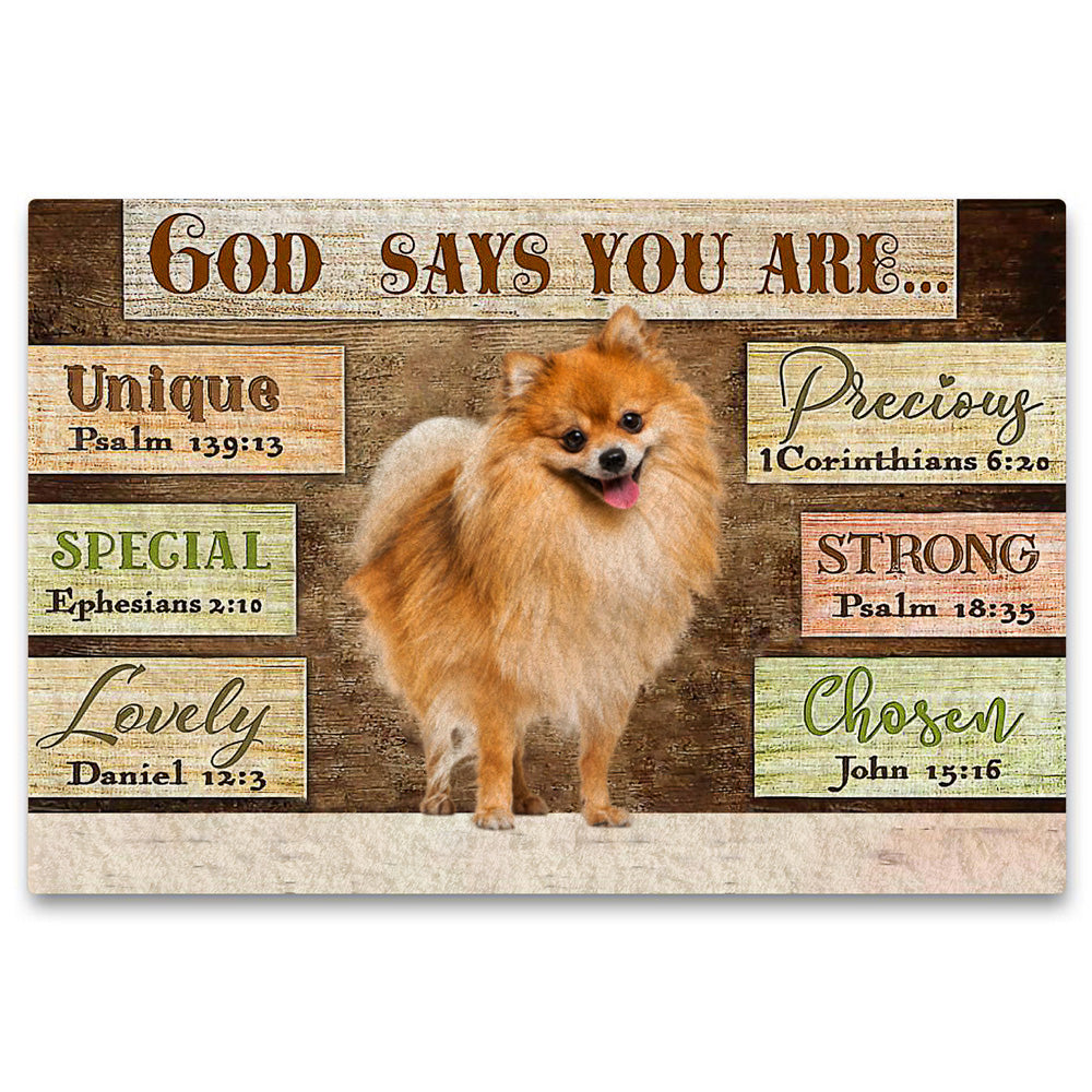 Pomeranian God Says You Are Doormat